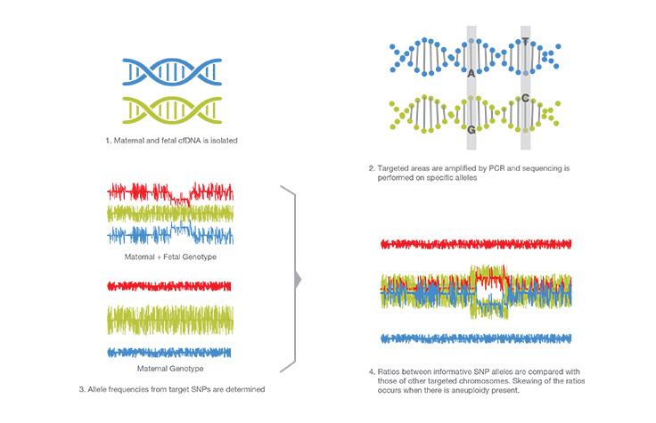 types-of-nipt-technology-whole-genome-sequencing-vs-targeted